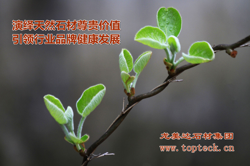 綠色石材,綠色大理石,大理石有沒有輻射,龍美達,環保石材