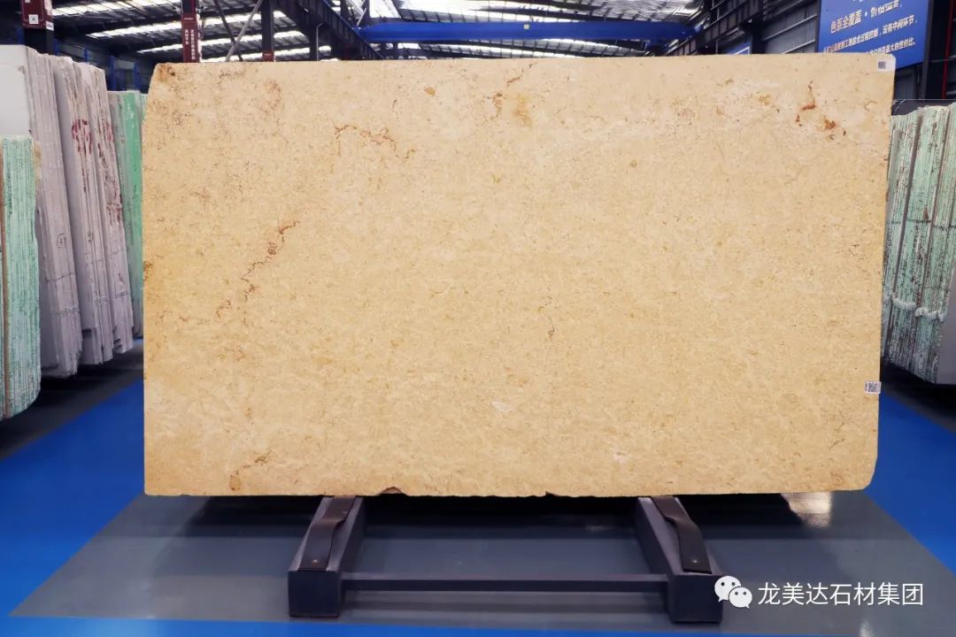 黃金化石,黃金化石大理石,龍美達石材